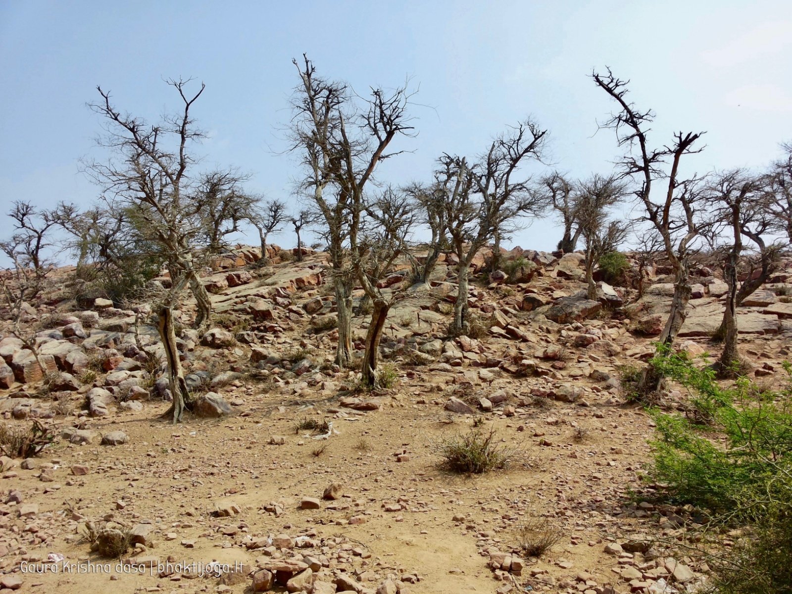  Govardhan hill. 2018.03.14